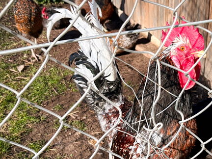 23-03-17 10-18-11 4874